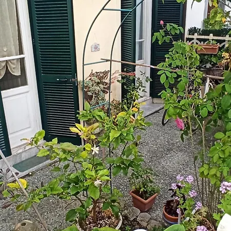La Casa Tra Il E Il Mare * Viareggio